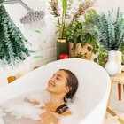 Bulk Package 30 Pcs Real Dried Eucalyptus Plant Large Stems For Shower  100  Na