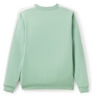 Disney Chip  n Dale Just Chillin    Sweatshirt Adult Size Xl Nwt