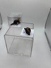 Little Critterz River Otter  glide  Miniature Figurine New Free Shipping Lc821