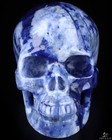 5 1  Sodalite Hand Carved Crystal Skull  Realistic  Crystal Healing