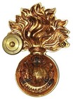 Canadian M99 - Les Fusiliers Mont Royal Regiment Officer s Cap Badge By Scully