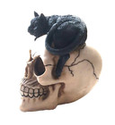 Skull With Cat On Head Figurine Statue Skeleton Halloween