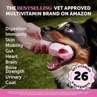 Pet Honesty Multivitamin Dog Supplement  Glucosamine Chondroitin For 90ct 
