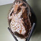 Huge Hand Painted Gourd Family Of Giraffes Copper Coil By Irene Gettle W tripod