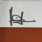 Framed Autographed signed Vince Young 33x42 Texas Orange College Jersey Jsa Coa