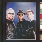 Bee Gees Legends Of Music Gold Record Display With Reproduction Signatures