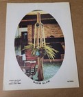 Vintage Plant Hanger Patterns Rare Craft Book - Mp2 Macrame Portraits Book 2