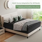 8 12 14  Mattress In A Box Twin Full Queen King Hybrid Spring Medium Firm Black