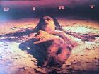 Alice In Chains Dirt Album Cover Poster  Not A Copy 