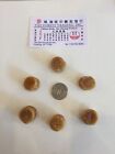 Premium Japanese Hokkaido Dried Scallops Grade A Sa Size  1 Lb                        