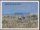 Gambia 1989 Birds Of West Africa Set - 2 Xms  ostrich   Fire Finch  Ms  Mint Mnh