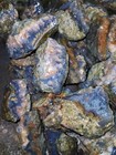 1 To 20 Kg Lot Natural Untreated High Quality Rough Blue Moss Agate