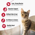 Nulo Freestyle Cat   Kitten Dry Food - Chicken   Cod Recipe  High Protein Grain 