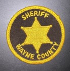 Wayne County  Mi Sheriff   Airport Police Uniform Worn Patch Collection 