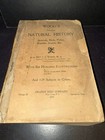 Antique Victorian Animals Wood Natural History Zoology Mammals 1898