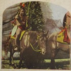Sioux Chief He-no-fraid Native American Image Stereos1