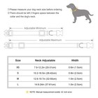 Glitter Personalized Dog Collar Soft Nylon With Custom Pet Name Engraved Buckle