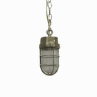 Vintage Brass Chain Hung Cage Light Ribbed Glass Globe Copper Rain Cap
