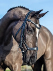 Horse Lemieux Arika Drop Nose Leather Snaffle Bridle With Reins Size Full
