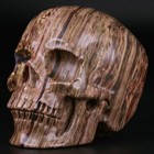 3 5  Dinosaur Egg Agate Carved Crystal Skull  Realistic  Crystal Healing