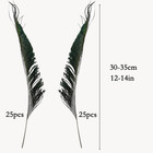 50pcs Natural Peacock Sword Feathers 12-14 Inch For Home Decor Wedding Party Vas