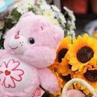 Care Bear Cherry Blossom Pink Bear Official Licensed Plush 27cm