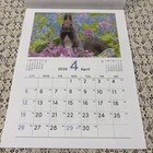 2026 Animal Wall Calendar Apr Start Cute Animal Photos