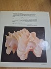 The Shell Book - Gift Of The Sea - Published In 1984 Hardcover