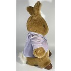 Eden Frederick Warne Co  Peter Rabbit Plush Bunny Beatrix Potter  13  Vintage