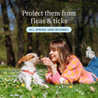 Petarmor Plus Flea And Tick Prevention For Dogs  Dog Flea And Tick Treatment  3 