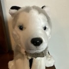 Fao Schwarz Plush Siberian Husky Dog Wolf Puppy 10  Gray White Stuffed Animal