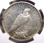 1921  p  Peace Silver Dollar  high Relief   1 Ngc Au58  029 About Unc Ecc c  Inc