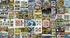 Animals   Fauna 390 Diff  Mini   Souv  Sheets Cto Lot Updated In 2025  390-cto