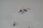 Antique Marx And Gutherz Bohemia Cornflower Extra Large Oval Platter  18  By 11 