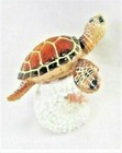 Brown Sea Turtle In The Coral Sea Life Figurine