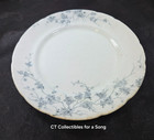 Rare Antique Turner   s England Spring Pattern Dinner Plate 9 5 8  Bluegrey Floral
