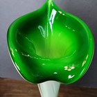Jack In The Pulpit Art Glass Vase Green To White Swung Collect 15  Beauty Read