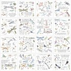 16 Sheets Rub On Transfers For Crafts And Furniture Rub On Transfers Dragonfly