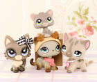 4pcs Lps Pets Grey Cat Kitten Shorthair Lps Animal Action Figure Kids Gift Rare