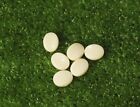 Kluson Replacement Butterbean Parchment Tuning Machine Tuner Buttons Set Of 6