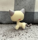 Littlest Pet Shop 1116 Lps Shorthair Siamese Cat Masked Cream Grey