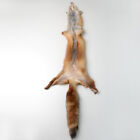 100  Red Fox Hide Pelts Tanned Fur Winter Heavy Fur High Quality Soft Animal Fur