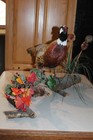 Chinese Ringneck Pheasant Hen Rooster Taxidermy Log Cabin Decor Mount