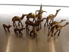 Herd Of 10 Mini Brass Camels