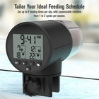 Juzpetz Automatic Fish Feeder For Aquarium  Digital Auto Fish Feeder Dispenser