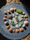 Genuine Surf-tumbled Sea Glass And Sea Shells