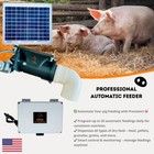 Solar Automatic Feeder  Food Dispenser For Pigs