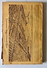 Haage   Schmidt 1904 General Seeds And Plants Catalogue