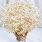 4000  Dried Babys Breath Flowers Bulk - 17  Ivory White Dried Flower Bouquet    