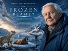 David Attenborough 100th Birthday Frozen Planet Displays